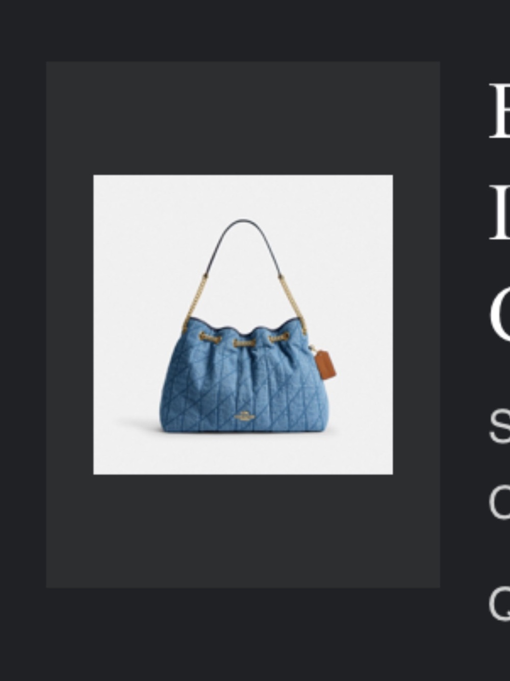 Coach Evelyn  Shoulder Bag - Picture 4 of 4